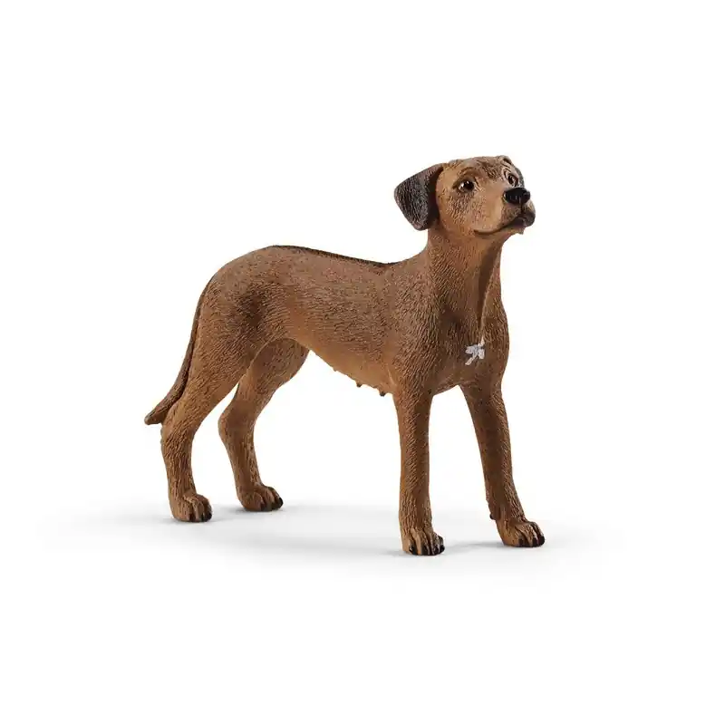 Quantité Limitée Chien de Rhodésie à crête dorsale - Schleich