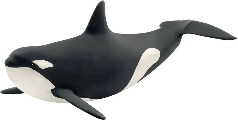 FIGURINE ORQUE Commander Maintenant