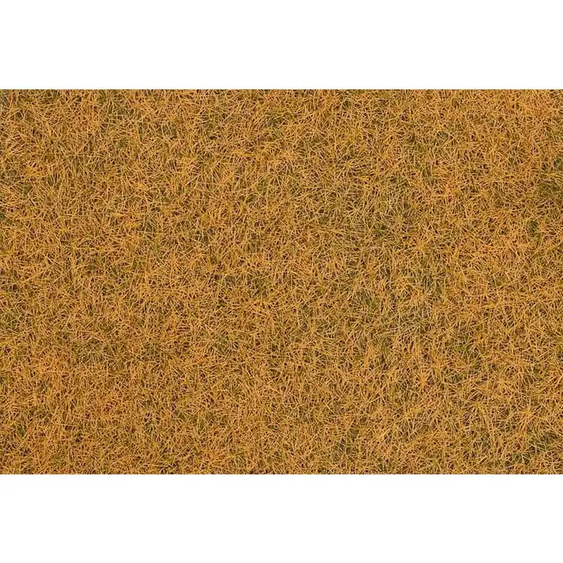 Jusqu'à Épuisement Des Stocks Modélisme Végétation Fibres de flocage, herbes sauvages, Prairie sèche
