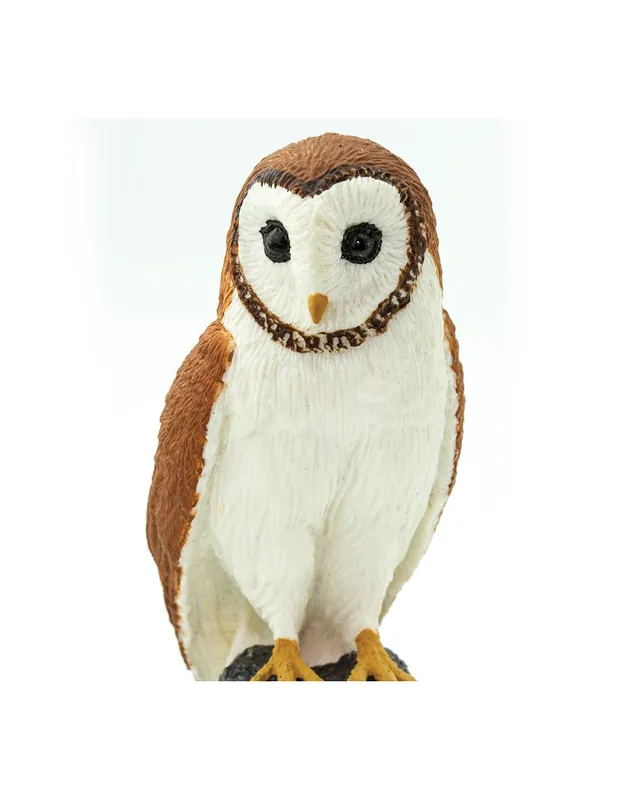 Dernier Modèle Effraie des Clochers (Tyto alba) – Figurine Safari Ltd® 150029