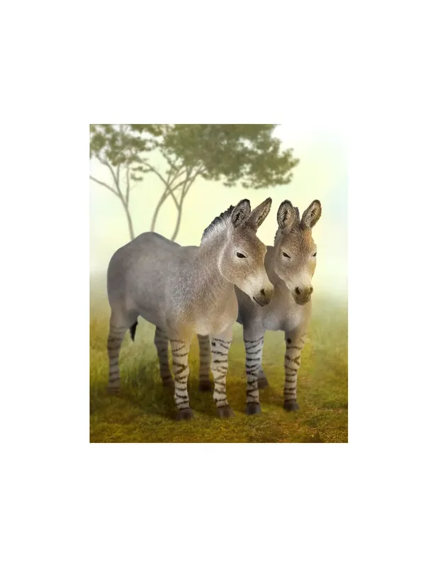 Achat Immédiat Figurine âne sauvage d’Afrique - animaux sauvages Collecta 88664