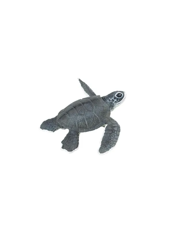 Retour Gratuit Figurine Bébé tortue de mer XL Géante Safari Ltd® 268129 - Jouet réaliste dès 18 mois