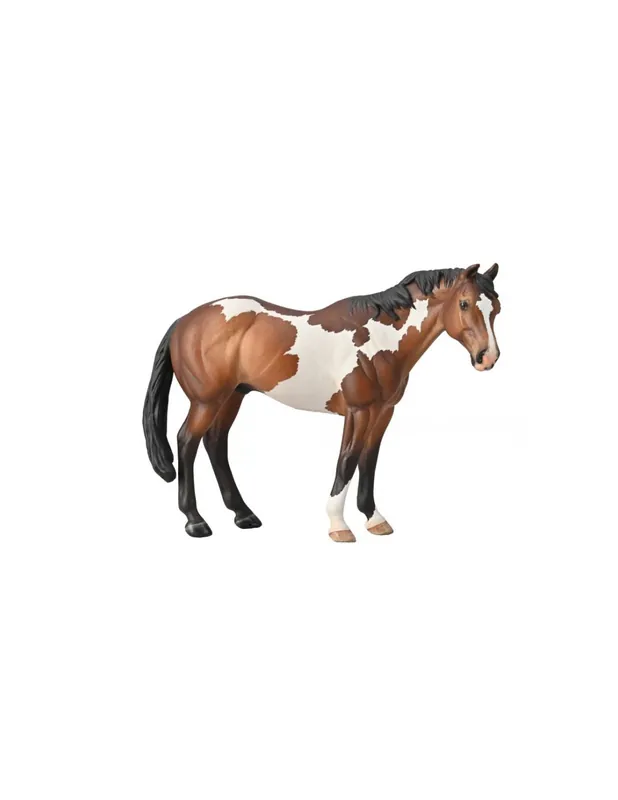 Expédié Aujourd'hui Figurine cheval Appaloosa Collecta 88956 Echelle 1 20 étalon bai overo