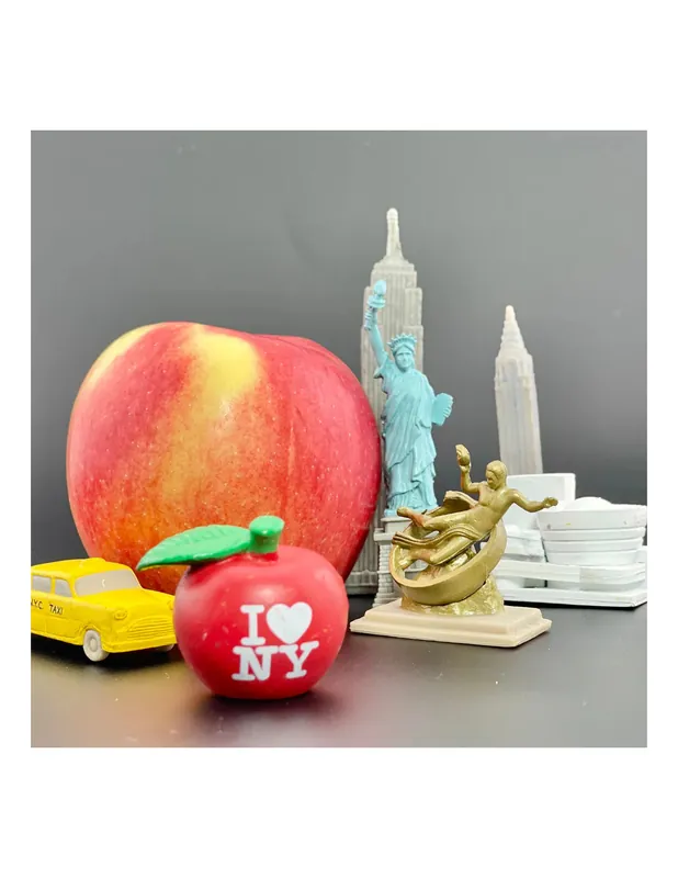 Meilleur Choix Figurines thème de New York City - Tube Safari Ltd® 682204