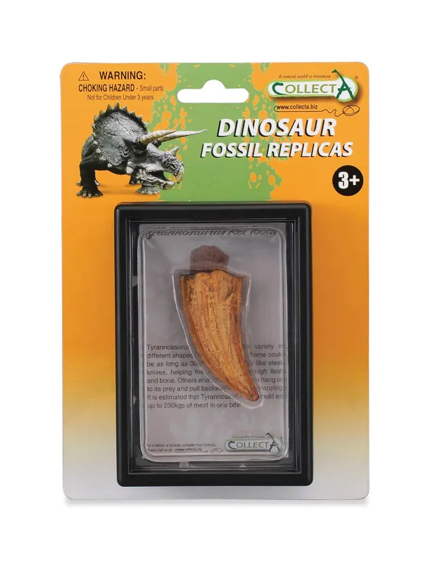 Achetez Aujourd'hui Réplique scientifique dent latérale de tyrannosaure - Figurine dinosaure t-rex CollectA 89358