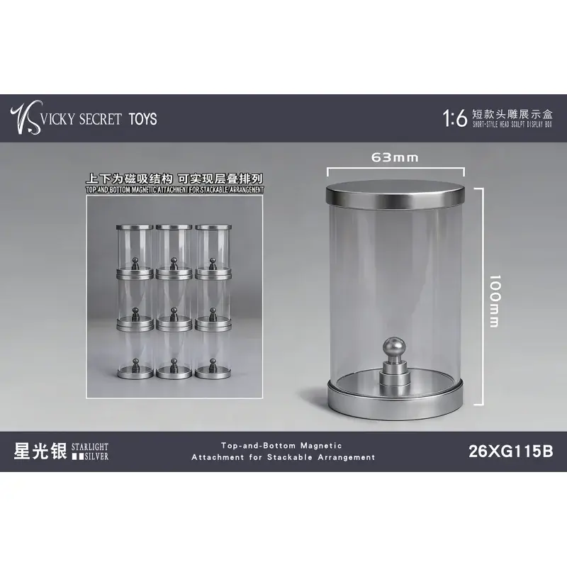 Short-Style Headsculpt Display Box Silver VSTOYS 26XG115B 1/6 Acheter Direct