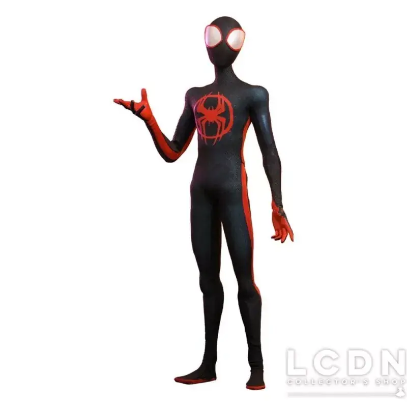Acheter Direct Hot Toys MMS710 Spider-Man Across the Spider-Verse Collectible Action Figurine 1/6 Miles Morales 29cm