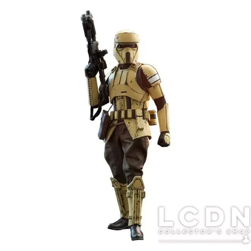 Hot Toys TMS031 Star Wars The Mandalorian Shoretrooper 1/6 Collectible Figurine 30cm *NEUF* Usine Directe